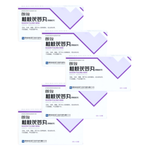 Пілюлі Гуічжи Фулін «Лікувальний курс» 9 упаковок*20 пакетиків по 6 пілюль